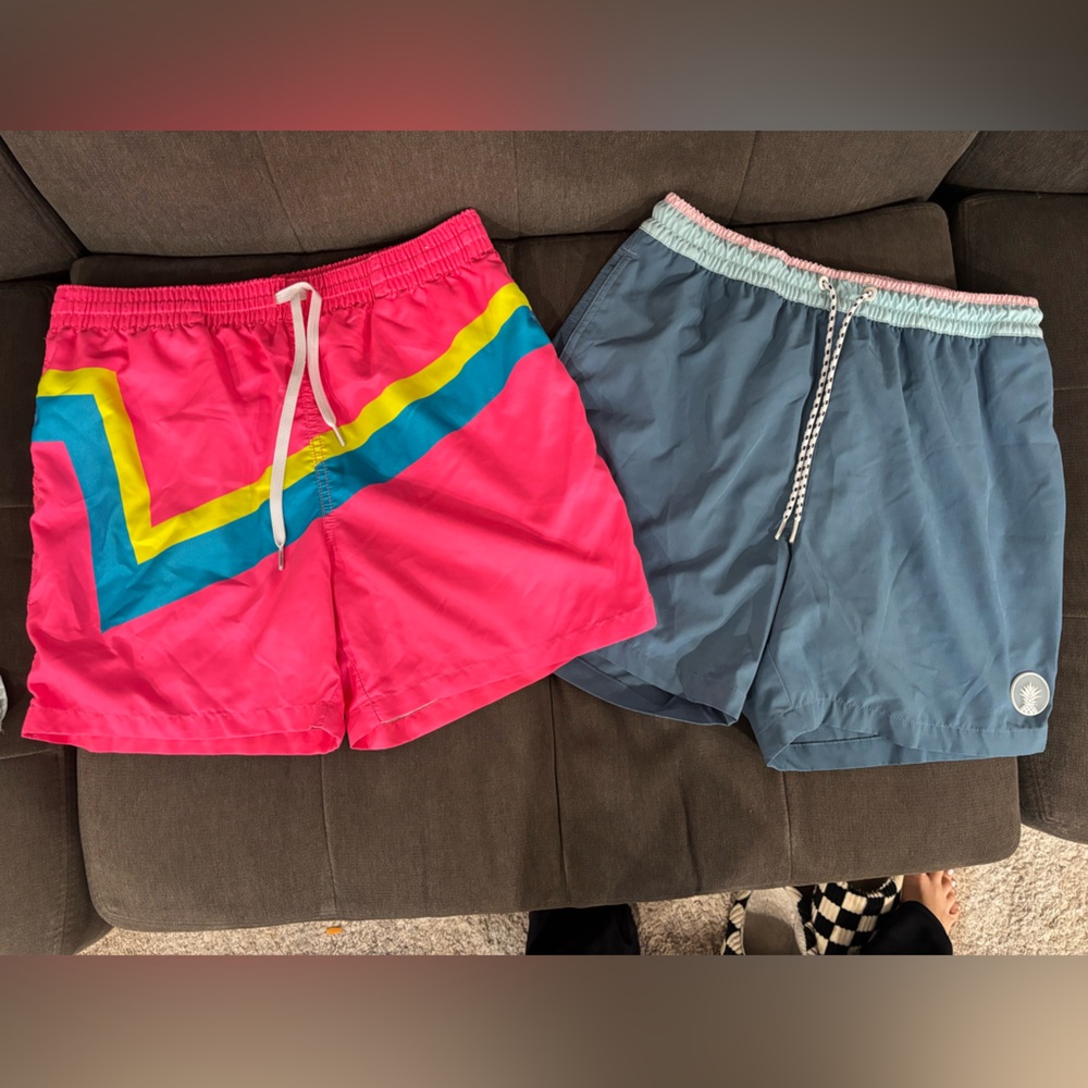 Men’s Chubbie’s swim trunks